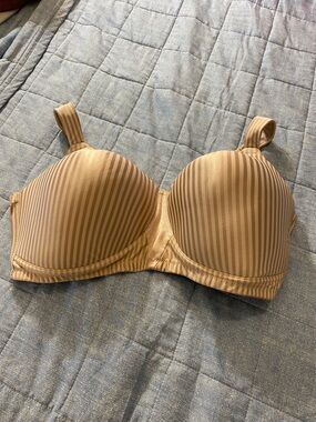 Playtex Striped Nude T-Shirt Bra